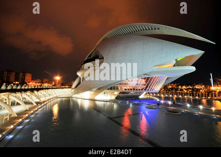 Spagna, Valencia, Città delle Arti e delle Scienze di Valencia, il Palazzo delle Arti Reina Sofia, l'architetto Santiago Calatavra di notte Foto Stock