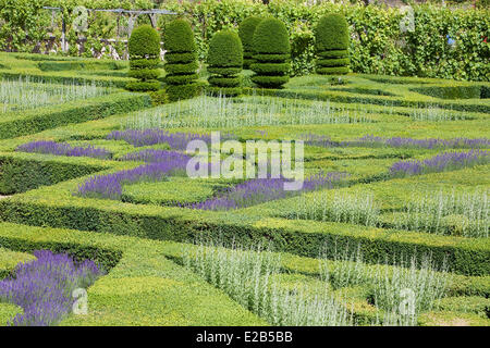 Francia, Indre et Loire, Valle della Loira, classificato come patrimonio mondiale dall' UNESCO, Villandry, Chateau de giardini di Villandry, di proprietà di Foto Stock