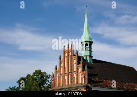 La Polonia, la Pomerania occidentale, Szczecin, chiesa di San Paolo e di Saint Pierre, il più antico di Szczecin risalente al 1124, verde Foto Stock