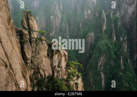 Cina, provincia di Anhui, Huangshan mountain (giallo montagne), classificato come patrimonio mondiale dall' UNESCO Foto Stock