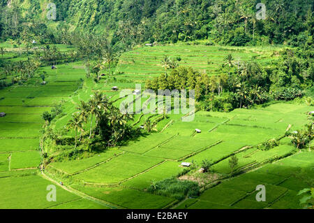 Indonesia, Bali, Subak sistema di irrigazione, classificato come patrimonio mondiale dall' UNESCO Foto Stock