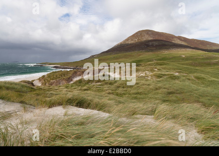 La collina di Ceapbhal e la costa vicino Northton, Isle of Harris, Ebridi Esterne, Scozia Foto Stock