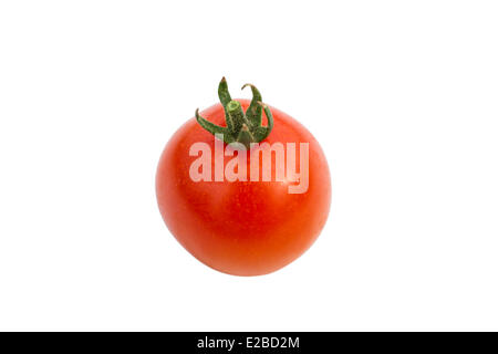 Francia, Yvelines, Chapet, giardino di Asafumi Yamashita, fruttivendolo che fornisce il top di gamma le verdure per gli chef Foto Stock