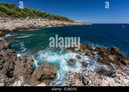 Francia, Alpes Maritimes, Cap d'Antibes, il sentiero del litorale, percorso Pirepoil Foto Stock