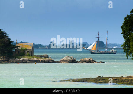 Francia, Morbihan, Golfe du Morbihan, Sene, vecchio schooner Etoile de France dietro Ile Boedic durante La Semaine du Golfe Foto Stock