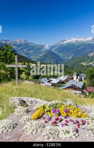 Francia, Savoie, Valle Tarentaise, navate con una vista del massiccio della Vanoise e la catena di La Lauziere Foto Stock