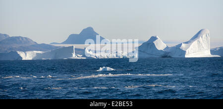 La Groenlandia, Baia di Melville, Red Head dintorni, iceberg e tappo di ghiaccio Foto Stock