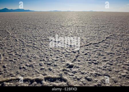 Bolivia, dipartimento di Potosi, Salar de Uyuni (3653 m), la più grande riserva di sale nel mondo Foto Stock