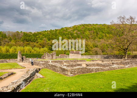 Le rovine di Tintern Abbey medievale monastero cistercense, Monmouthshire, Wales, Regno Unito, Europa. Foto Stock