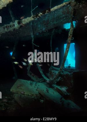 S.S. Thistlegorm, relitto affondato il 5 ottobre 1941 in Mar Rosso e ora è un ben noto sito di immersione. Foto Stock