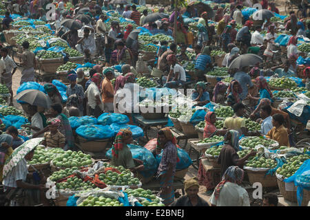 Chapainawabganj, Bangladesh, 17 Giugno, 2014. Commercio all'ingrosso di mango al mercato Kansat. Chapainawabganj, Bangladesh. Bangladesh generalmente produce circa 800.000 tonnellate di manghi su 51.000 ettari di bosco. Chapainawabganj produce da solo quasi 200.000 tonnellate di manghi su 23,282 ettari di terreno. Credito: zakir hossain chowdhury zakir/Alamy Live News Foto Stock