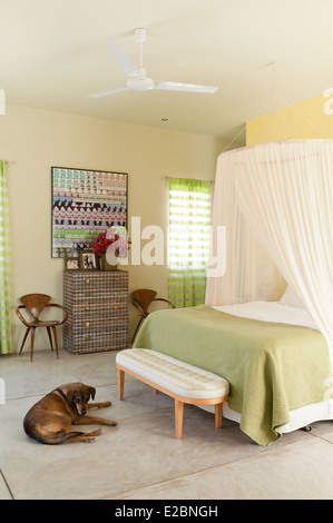 Verde pastello camera da letto in Baja home inglese di interior designer Jenny Armit Foto Stock