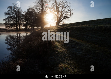 Misty mattina a Richmond, Londra Foto Stock