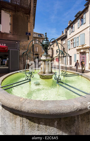 Francia, Lozère, Gevaudan, Valle del Lot, Mende, fontana nelle strade pedonali Foto Stock