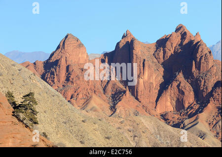 Cina, Qinghai, Amdo, Jiantsa county, Khamra National Park, Namzong suroundings Foto Stock