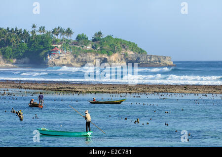 Indonesia Bali Nusa Lembongan Island, gli isolani vivono sulla coltivazione di alghe marine Foto Stock