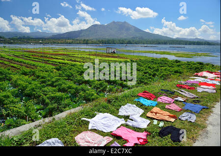 Indonesia, Bali, Kintamani area, Gunung Batur e vulcano Batur lago vicino Kedisan Foto Stock