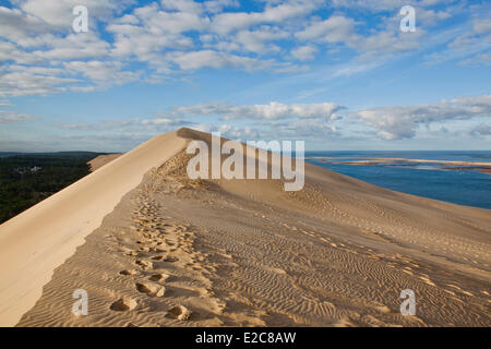 Francia, Gironde, Bassin d'Arcachon, la foresta di Landes, Dune du Pilat (la Grande Duna del Pyla) Foto Stock