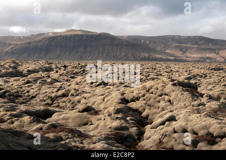 L'Islanda, regione Sudurland, Costa Atlantica intorno a VIK, National Highway 1, lava Foto Stock