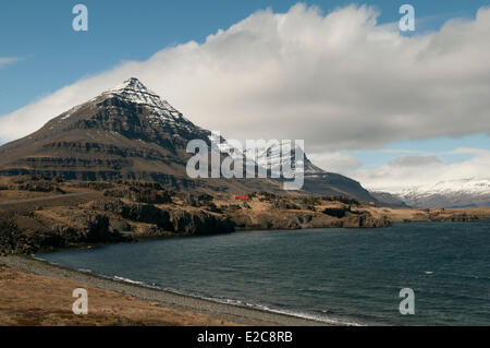 L'Islanda, regione Austurland, Costa Atlantica, east coat, Berufjordur fjord Foto Stock