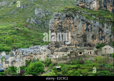 Francia, Lozère, La Malene, Gorges du Tarn Foto Stock