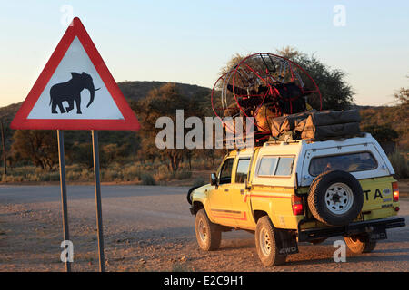 La Namibia, Regione di Kunene, Kaokoland o Kaokoveld, in via di estinzione pannello elefante su una traccia Foto Stock