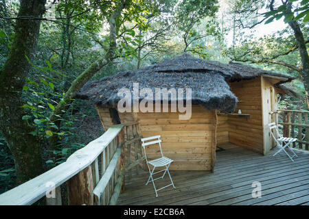 Francia, Morbihan, Nivillac, treehouse in alloggi insoliti sito del Pertuis Rofo Foto Stock