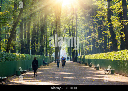 La Russia, San Pietroburgo, elencato come patrimonio mondiale dall UNESCO, il giardino estivo Foto Stock