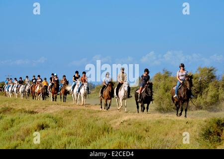 Francia, Herault, Serignan, Domaine des Orpellieres, passeggiata equestre nel mezzo di un salt marshes area, cavalier in unico file su un sentiero sabbioso Foto Stock