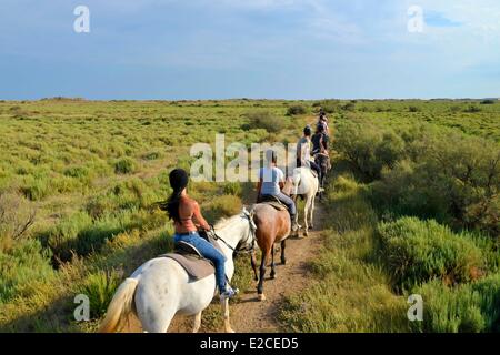 Francia, Herault, Serignan, Domaine des Orpellieres, passeggiata equestre nel mezzo di un salt marshes area, cavalier in unico file su un sentiero sabbioso Foto Stock