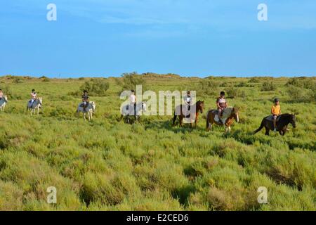 Francia, Herault, Serignan, Domaine des Orpellieres, passeggiata equestre nel mezzo di un salt marshes area, cavalier in unico file su un sentiero sabbioso Foto Stock