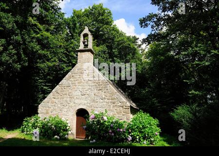 Francia, Finisterre, vicino al Pont Aven, Nevez, cappella in legno di Henan Foto Stock