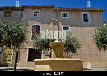 Francia, Herault, Villeneuve les Beziers, fontana nella parte anteriore di un albero di olivo al piede di un municipio Foto Stock