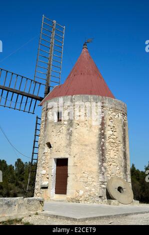 Francia, Bouches du Rhone, Fontvieille, Fete des Moulins (Mills Festival), mulino di farina di Saint-Pierre o Daudet xix secolo sulle alture del villaggio Foto Stock