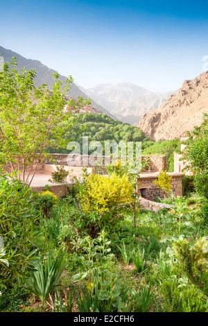 Vista del monte Toubkal dai giardini della Kasbah Toubkal vicino a Imlil in Alto Atlante, Marocco, Africa del Nord. Foto Stock