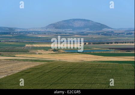 Israele, Distretto Settentrionale, la Galilea Jezreel Valley e il Monte Tabor in background Foto Stock