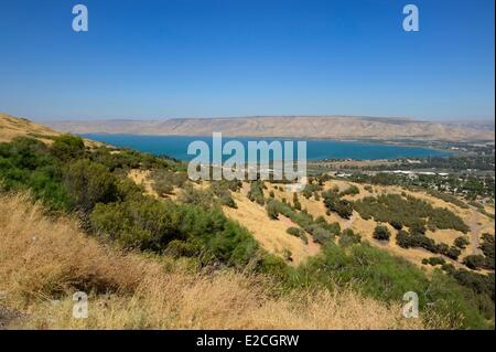Israele, Distretto Settentrionale, la Galilea Tiberiade, sul mare di Galilea (lago di Tiberiade) bordi e sullo sfondo le colline del Golan Foto Stock