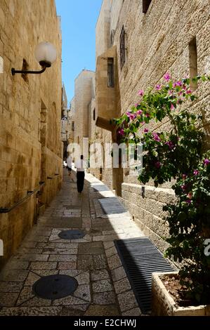 Israele, Gerusalemme, città santa, old town elencati come patrimonio mondiale dall' UNESCO, il quartiere armeno e il quartiere di Saint James Street Foto Stock