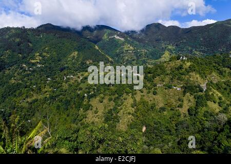 Giamaica, West Indies, Blue Mountains, casa e studio di Chris Blackwell productor rinnovare in Strawberry Hill Hotel Foto Stock