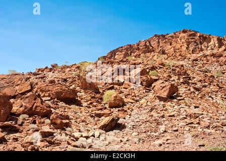 La Namibia, Kunene, regione di Damaraland, Twyfelfontein Foto Stock