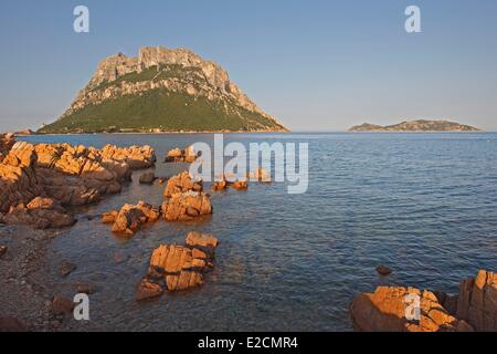 Italia Sardegna Tavolara Foto Stock