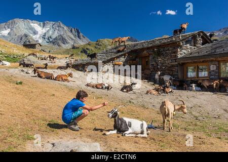 Francia Savoie Les Menuires farm il chasse vicino e Nicolas Pepe del ristorante con una vista dell'Aiguille di Peclet (3562m) Foto Stock