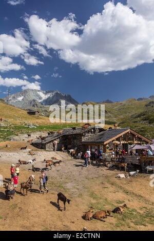 Francia Savoie Les Menuires farm il chasse vicino e Nicolas Pepe del ristorante con una vista dell'Aiguille di Peclet (3562m) Foto Stock