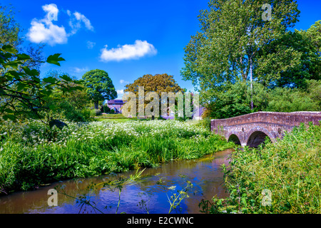 Fiume e ponte in bockhampton inferiore dorset Inghilterra Foto Stock