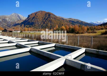 Francia Hautes Alpes Saint Jean Saint Nicolas fossa colmare il gap Ricoux Canal la graniglia Ricoux Foto Stock