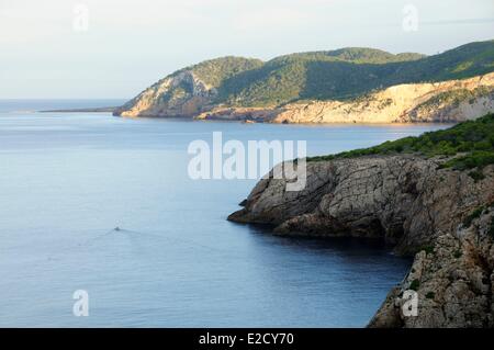 Spagna Isole Baleari Ibiza cala En Serra piccola barca lasciando il cove Foto Stock