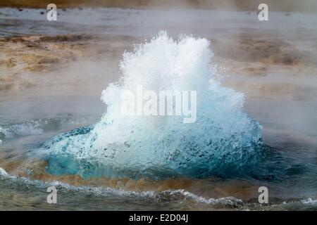 Islanda Vesturland regione Valle di Haukadalur Geysir Eruzione del geyser Strokkur Foto Stock