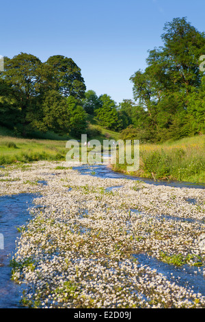 Walkers a Bradford Dale, vicino Youlgreave, Peak District, Derbyshire, Inghilterra Foto Stock