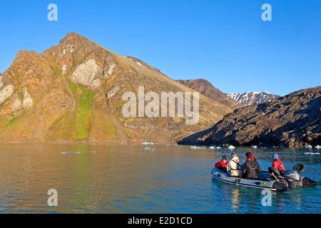 Norvegia Isole Svalbard Spitsbergen Krossfjord colonia di uccelli nella piccola baia di Fridtjovneset (vicino a Capo Nylspynten) Foto Stock