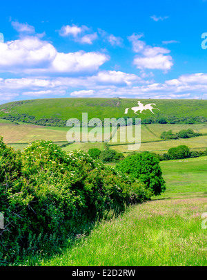 Cavallo bianco intagliato in Chalk collina a Osmington Dorset. Foto Stock